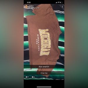 Size small brown crop top from sheen